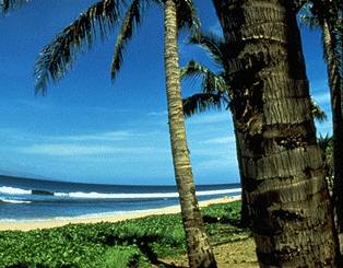 Annual Travel Insurance